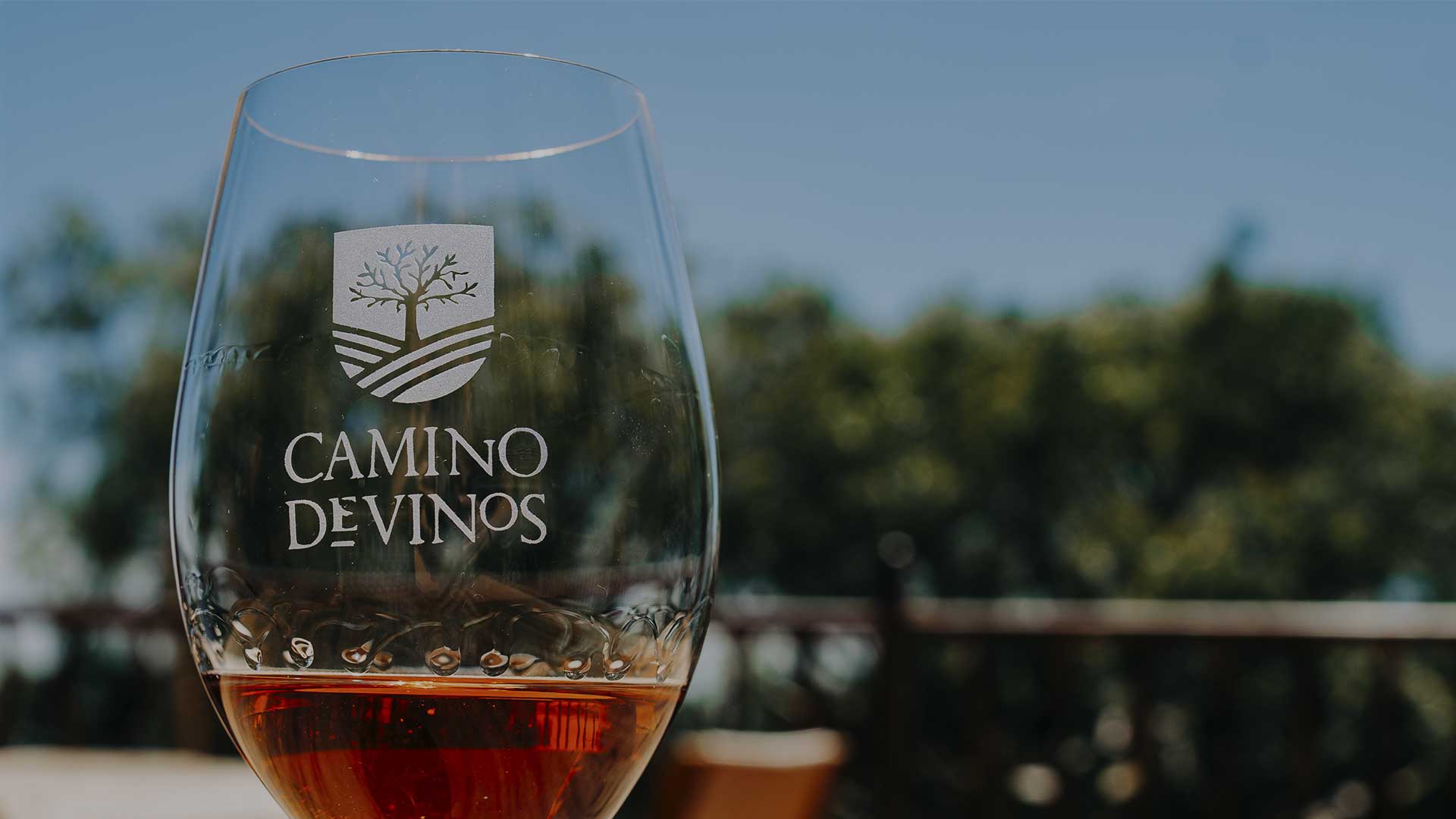 Camino-de-vinos-degustación-enológica