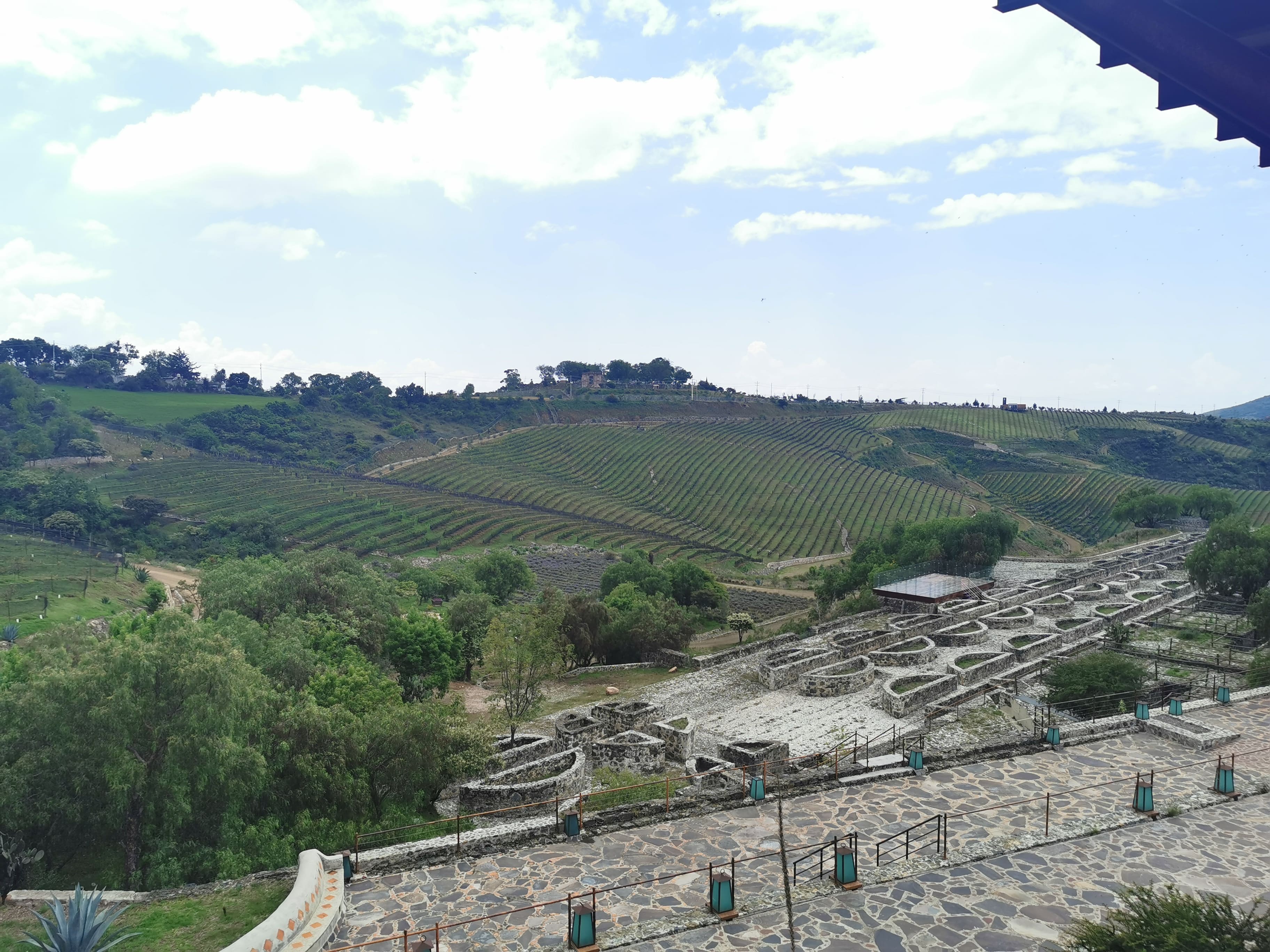 Escenario Terraza Fresko