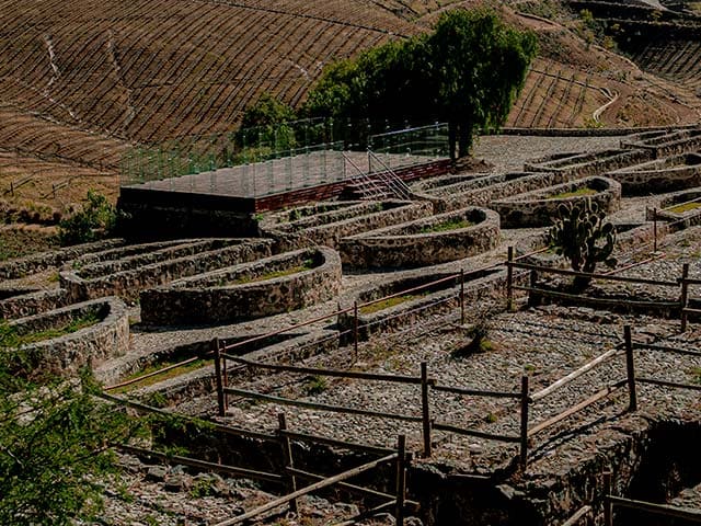 Guardianes del Camino