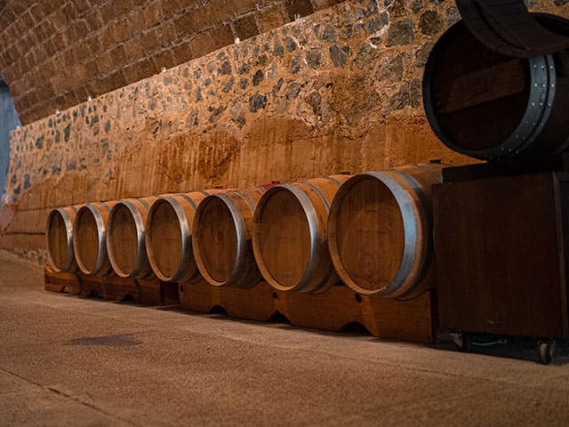 Guardianes del Camino