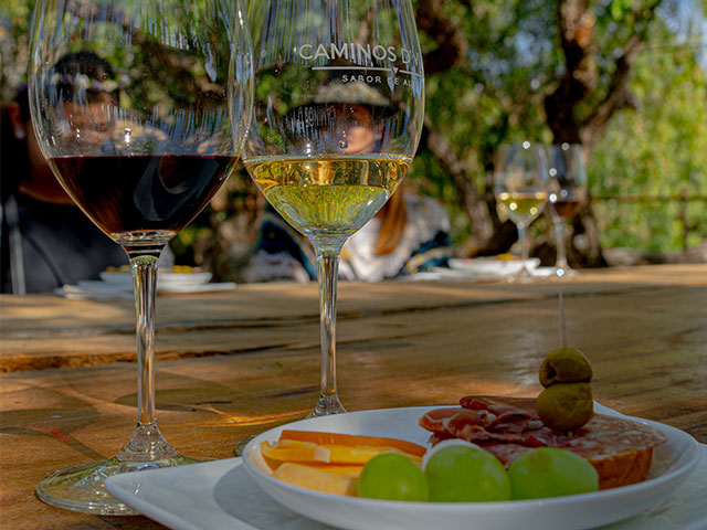 Camino-de-Vinos-Paquetes-(Madera)