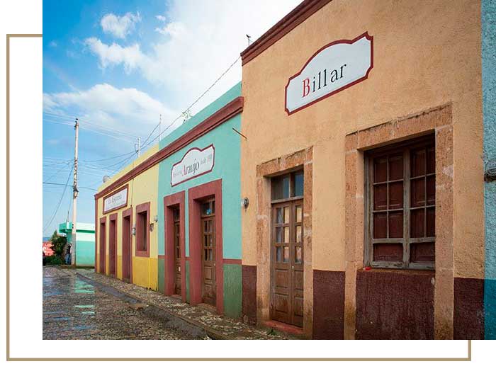 Camino-de-vinos-Proyecto-Social-