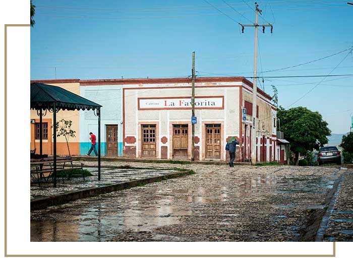 Camino-de-vinos-Proyecto-Social-2