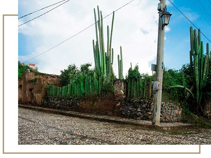 Camino-de-vinos-Proyecto-Social-3