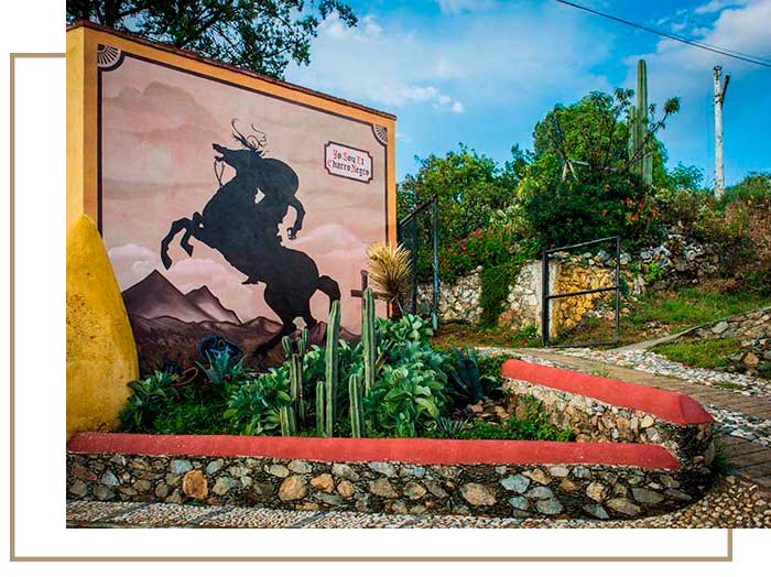 Camino-de-vinos-Proyecto-Social-5
