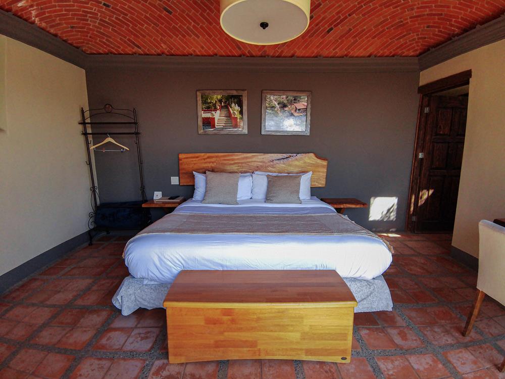 Camino-de-vinos-r26-f