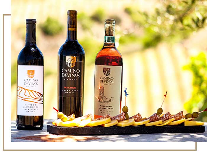 Camino-de-vinos-icono-intro-4